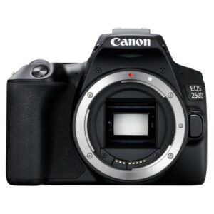 Canon EOS 250D Black Friday deal